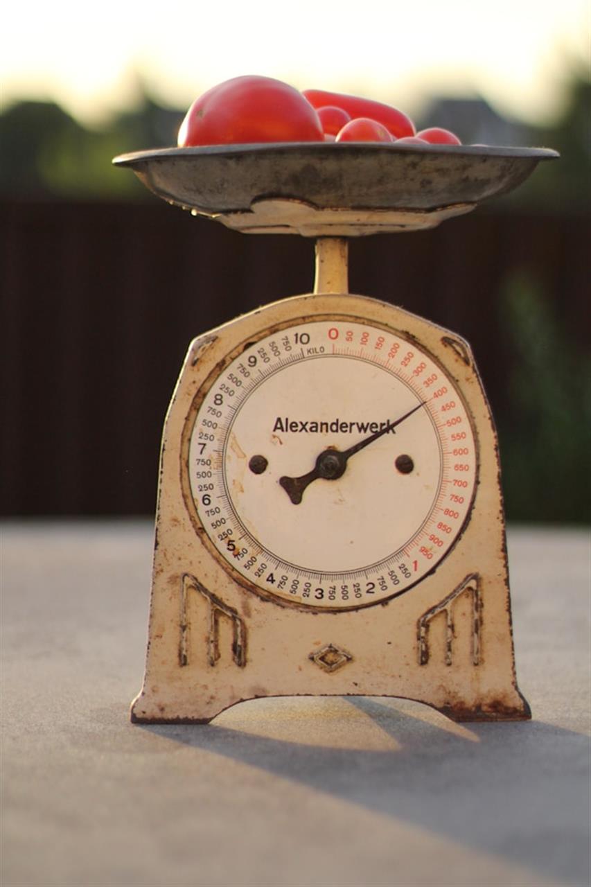 Prazisionswaagen: Genauigkeit für Ihre Wiegebedürfnisse